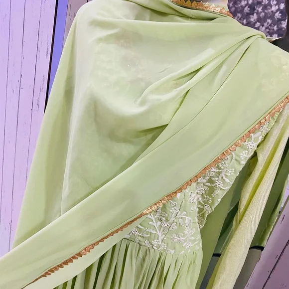 Full flaired beautifully embroidered pastel green gown for party wear - Picture 11 of 11